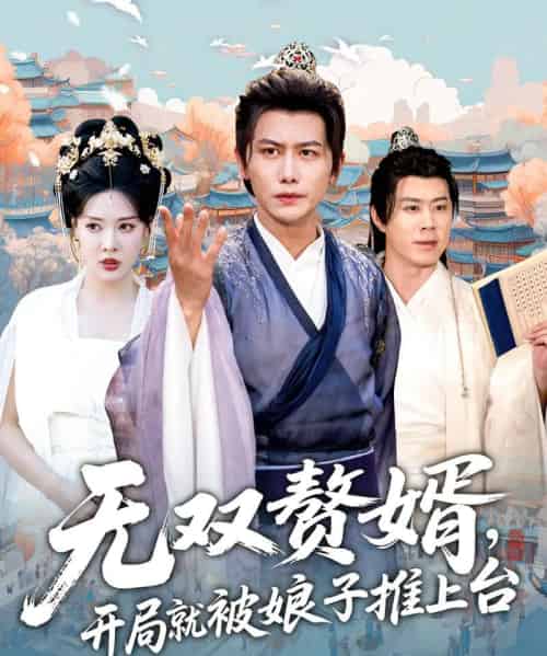 无双赘婿开局就被娘子推上台（80集）-海之城短剧项目
