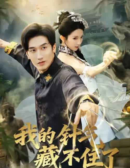 我的针气藏不住了（69集全）王彬茗＆毛宽仁-海之城短剧项目