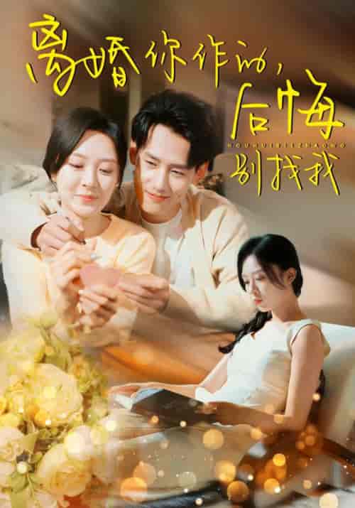 离婚你作的后悔别找我（30集全）程琳淼 - 海之城短剧