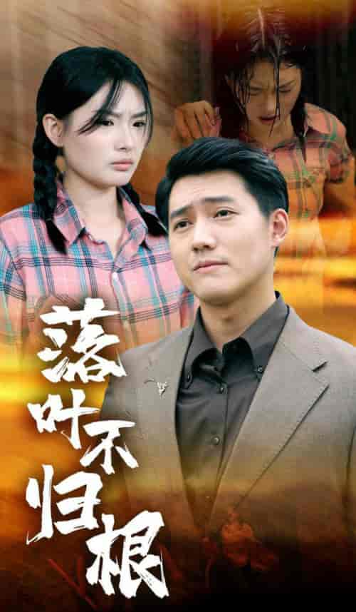 落叶不归根（54集全） - 海之城短剧
