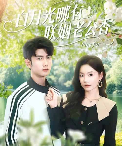 白月光哪有联姻老公香（120集全）唐治璇＆张诗媛-海之城短剧项目