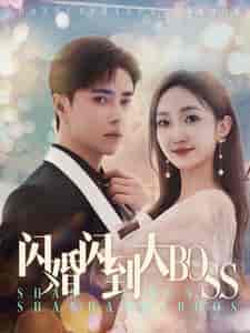 闪婚闪到大BOOS 闪婚闪到大BOOS
