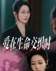 爱在生命交织时（33集全）阎纪圻＆刘清心-海之城短剧项目