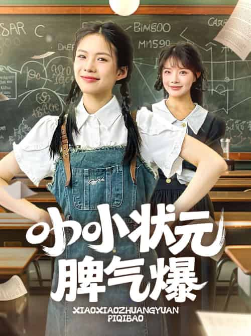 小小状元脾气爆 小小状元脾气爆