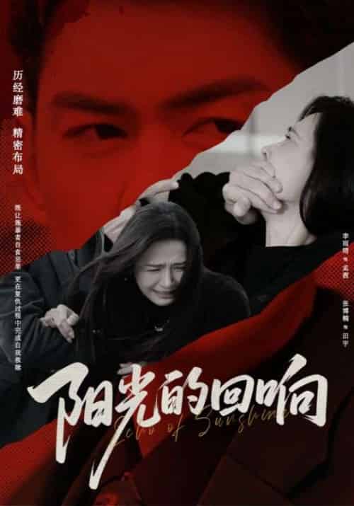 阳光的回响 阳光的回响