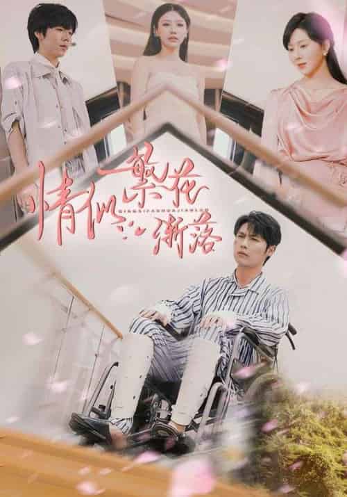 情似繁花渐落 情似繁花渐落
