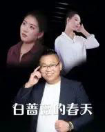 白蔷薇的春天（86集） - 海之城短剧