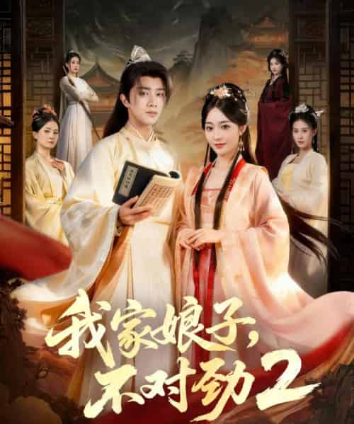 我家娘子，不对劲2（90集全）陈外＆鲁芳岐-海之城短剧项目