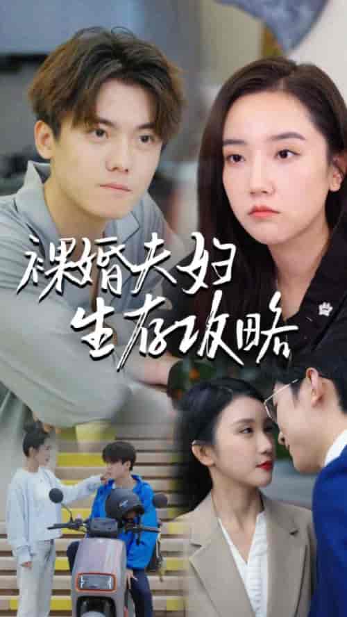 裸婚夫妇生存攻略（86集） - 海之城短剧