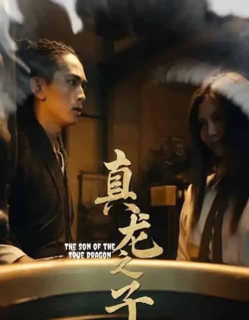 真龙之子＆灵途＆龙娘（20集全）-海之城短剧项目