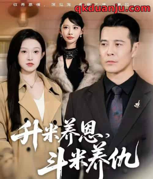 升米养恩，斗米养仇＆认贼弃父（75集全）萨钢云＆关钰莹＆小布丁-海之城短剧项目