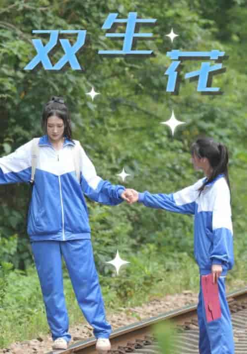 双生花需改名（36集全）王凯＆陈北月 - 海之城短剧