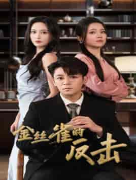 金丝雀的反击 金丝雀的反击