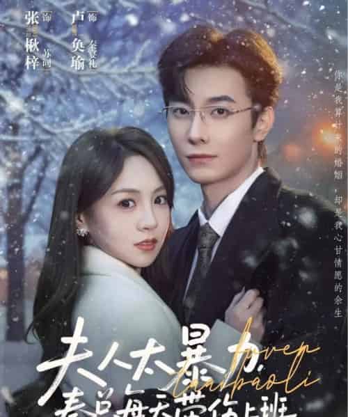 夫人太暴力，秦总每天带伤上班（80集全）卢奂瑜＆张楸梓-海之城短剧项目