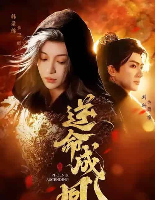 逆命成凰（70集全）刘轩＆韩录锦-海之城短剧项目