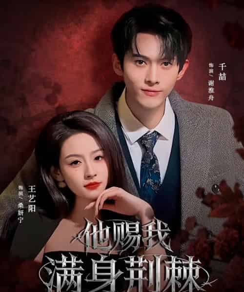 他赐我满身荆棘（80集全）千喆＆王艺阳（情侣档）-海之城短剧项目