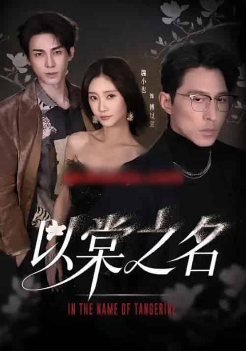 以棠之名（66集全）魏小也＆冯文栋-海之城短剧项目