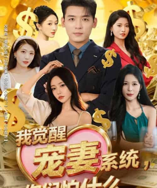 我觉醒宠妻系统，你们怕什么（83集全）李源＆苏凝-海之城短剧项目