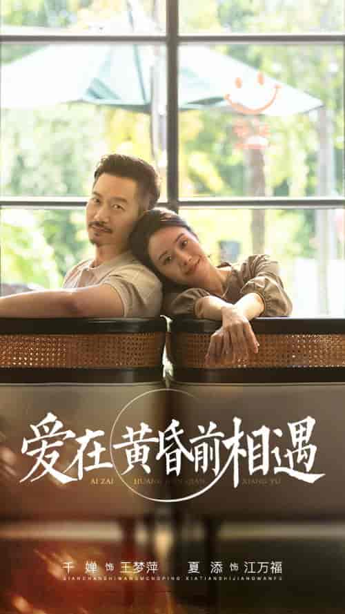 爱在黄昏前相遇（65集） - 海之城短剧