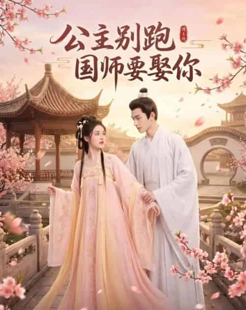 公主别跑，国师要娶你（16集全）AI-海之城短剧项目