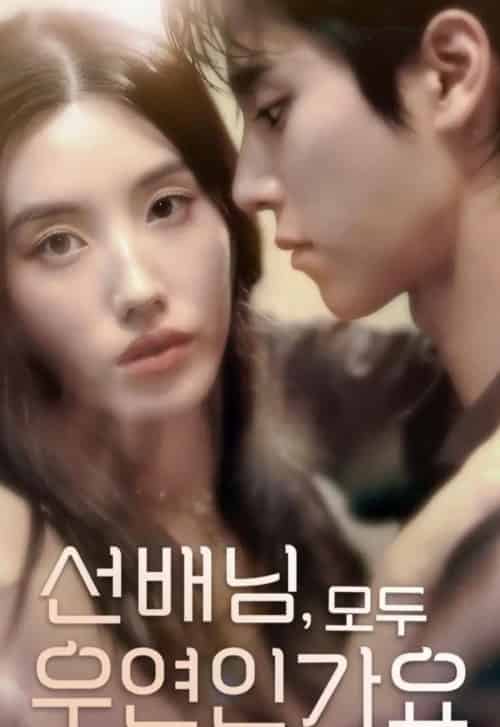 韩短前辈，都是偶然吗（50集全）-海之城短剧项目