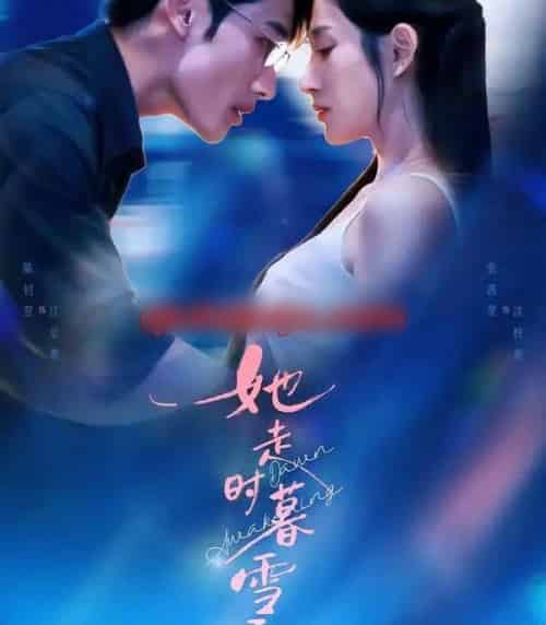 她走时暮雪千山（53集全）陈钊翌＆张茜雯-海之城短剧项目