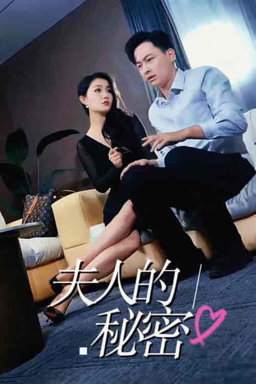 夫人的秘密（52集全）擦边剧 - 海之城短剧