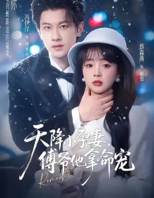 天降小孕妻，傅爷他拿命宠（76集全）冯伊洋＆蔡淼燕-海之城短剧项目