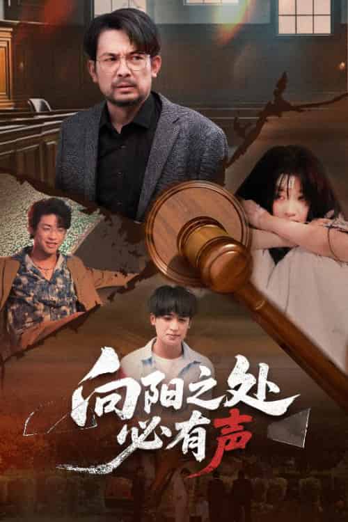 向阳之处必有声（50集全）邱月＆贺庆智 - 海之城短剧