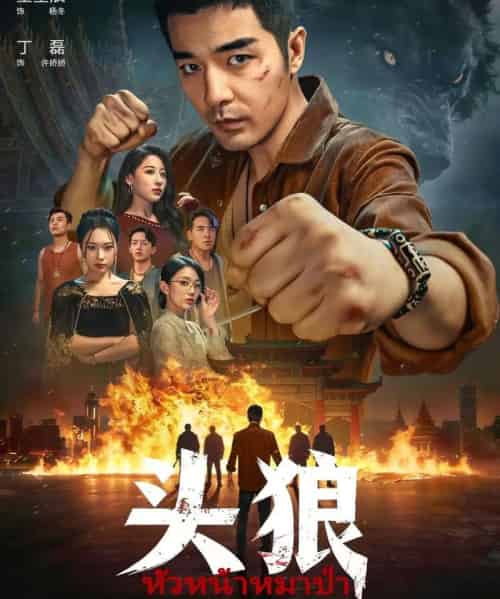 头狼（77集全）丁磊＆董星辰-海之城短剧项目