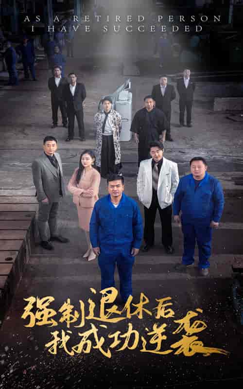 强制退休后，我成功逆袭（54集全） - 海之城短剧