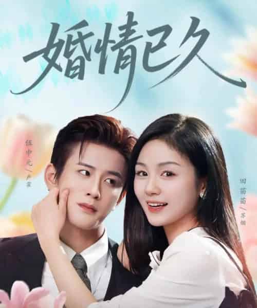 婚情已久（80集全）伍中元＆田苗苗-海之城短剧项目