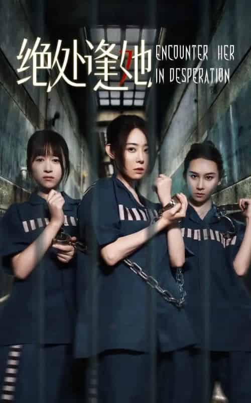 绝处逢她（47集）辰鑫＆千婵 - 海之城短剧