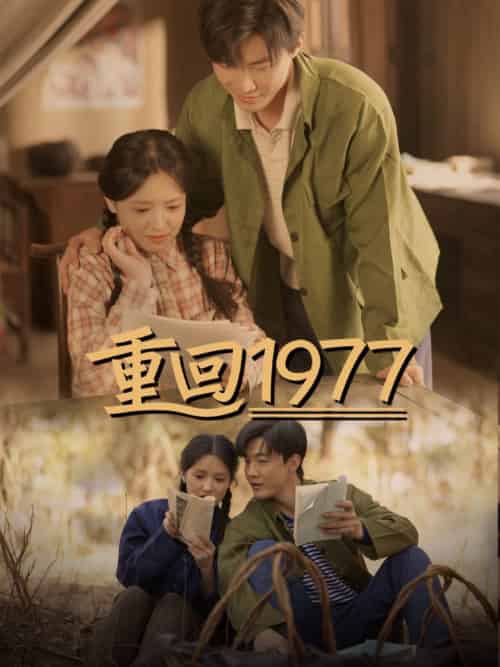重回1977（71集全）吴梦媛 - 海之城短剧