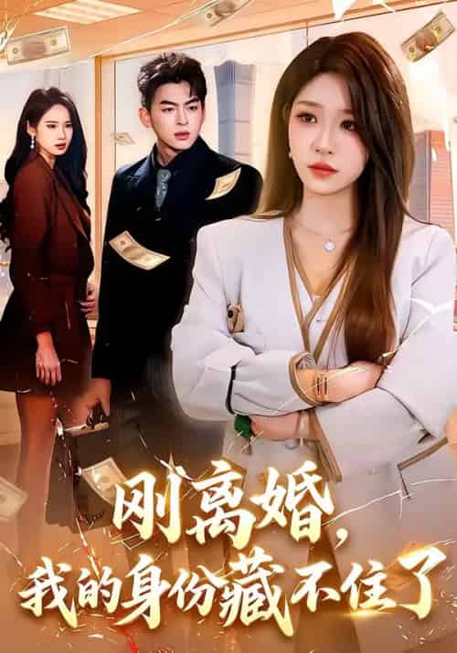 刚离婚，我的身份藏不住了（100集全）朱佳琪＆天养-海之城短剧项目