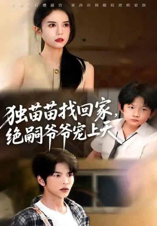 独苗苗找回家绝嗣爷爷宠上天（65集）向帅＆张文慧 - 海之城短剧