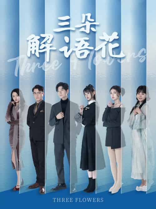 三朵解语花（92集全）邵迪＆梦娜＆卢巧 - 海之城短剧