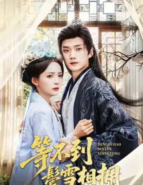 等不到鬓雪相拥（61集）李蔚蓝＆许丹-海之城短剧项目