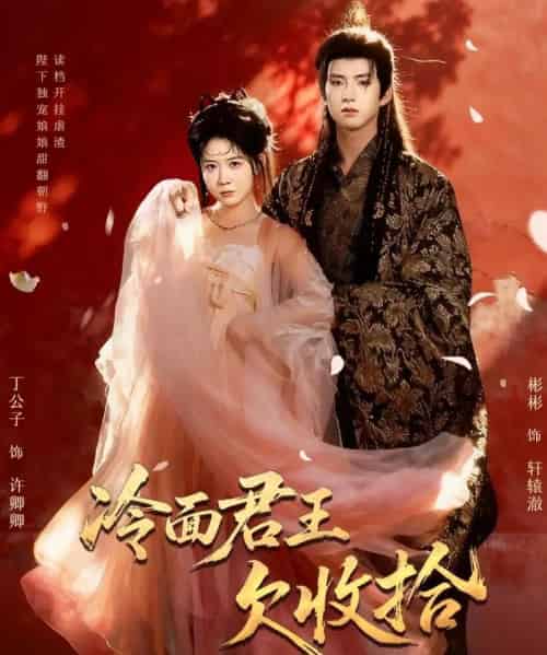 冷面君王欠收拾＆陛下，娘娘又读档了（62集全）彬彬＆丁公子-海之城短剧项目