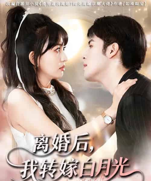 离婚后我转嫁白月光（85集） - 海之城短剧