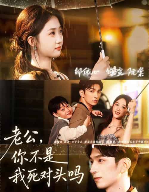 老公，你不是我死对头吗（79集全）韩旭＆郇依芯-海之城短剧项目