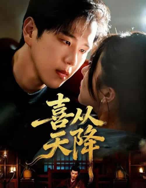 喜从天降（50集全）罗嘉麒＆辛润茜-海之城短剧项目