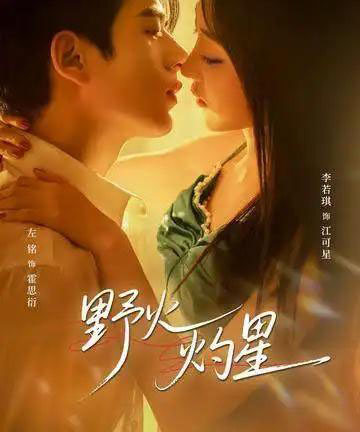 野火灼星（56集全）左铭＆李若琪-海之城短剧项目