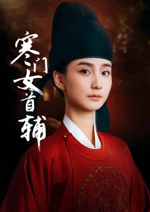 寒门女首辅（80集全）陈政阳＆许晓诺 - 海之城短剧