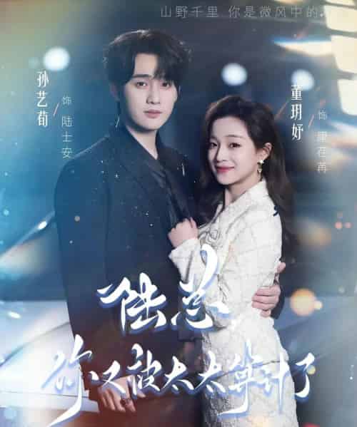 陆总，你又被太太算计了（70集全）董玥妤＆孙艺荀-海之城短剧项目