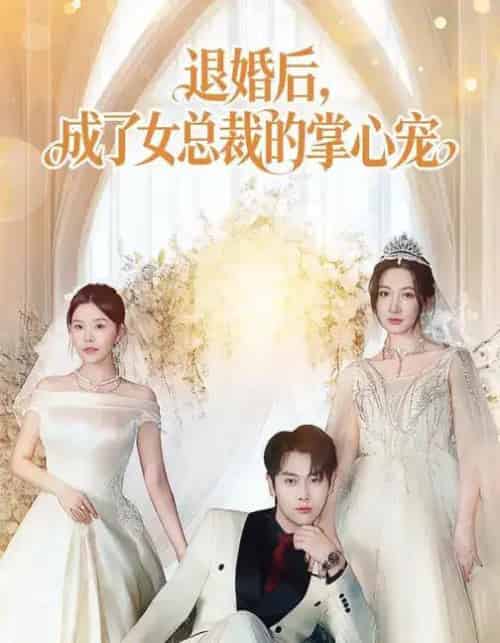 退婚后，成了女总裁的掌心宠（78集全）韩非儿＆刘锦辰-海之城短剧项目