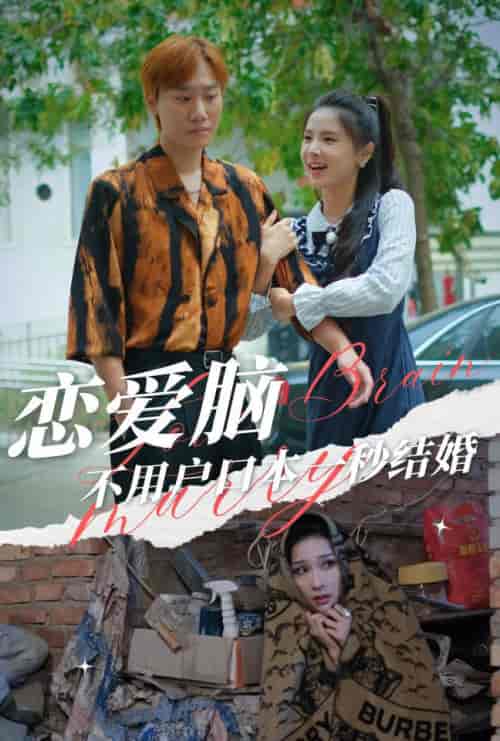 恋爱脑不用户口本一秒结婚（30集全） - 海之城短剧