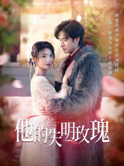 他的失明玫瑰（70集全）王彬茗＆陈明 - 海之城短剧