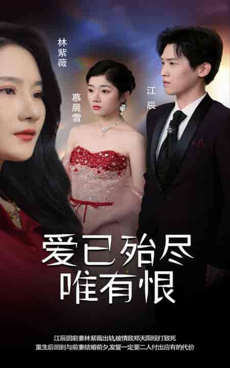 爱已殆尽唯有恨（61集全） - 海之城短剧