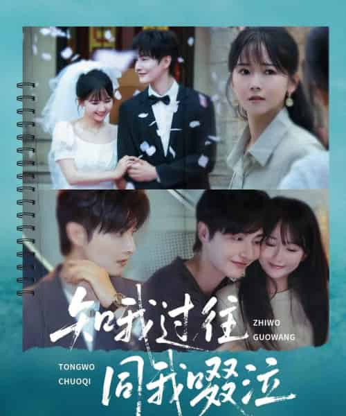 知我过往同我啜泣（60集）王雅淇-海之城短剧项目